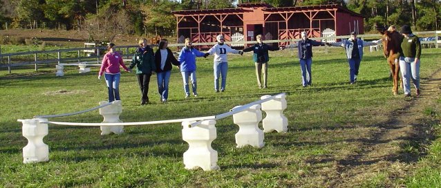 Equine Billiards