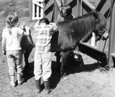 Campers & Toby